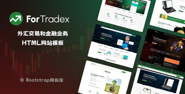 外汇交易和金融业务网站模板