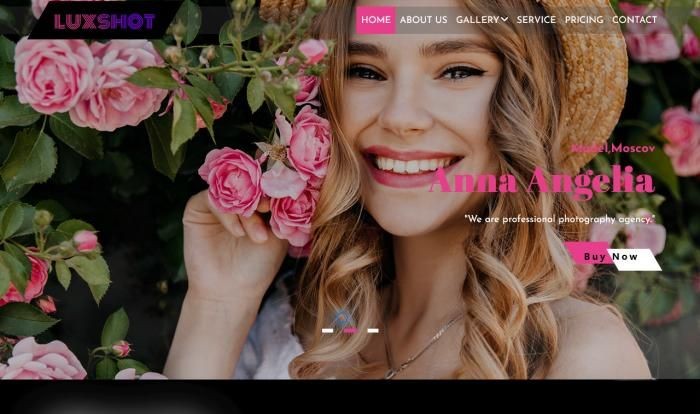 黑色摄影艺术网站模板